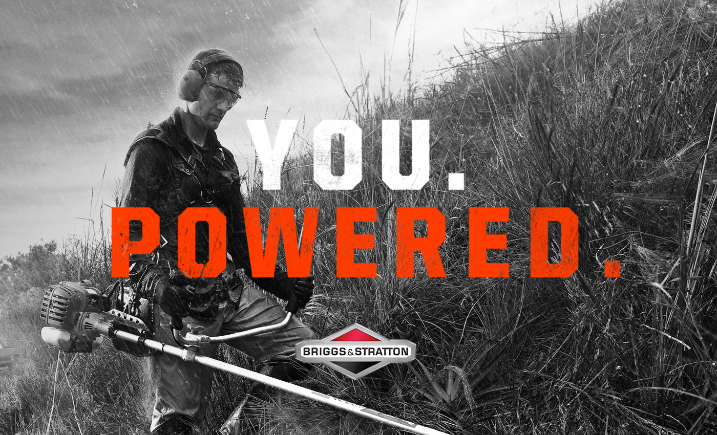 Briggs & Stratton Case Study