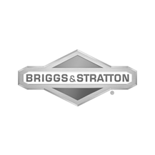Briggs & Stratton logo